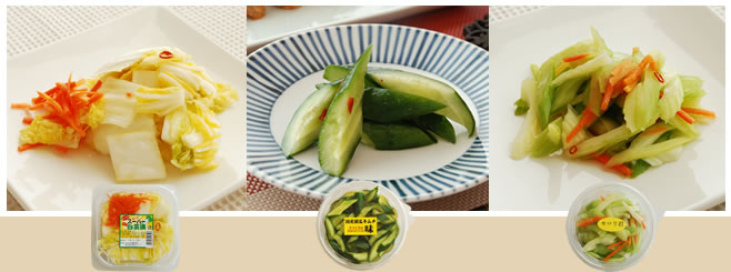浅漬けセット　なす漬　スーパー白菜　きゅうりキムチ半月切り　セロリ君　計4点入り